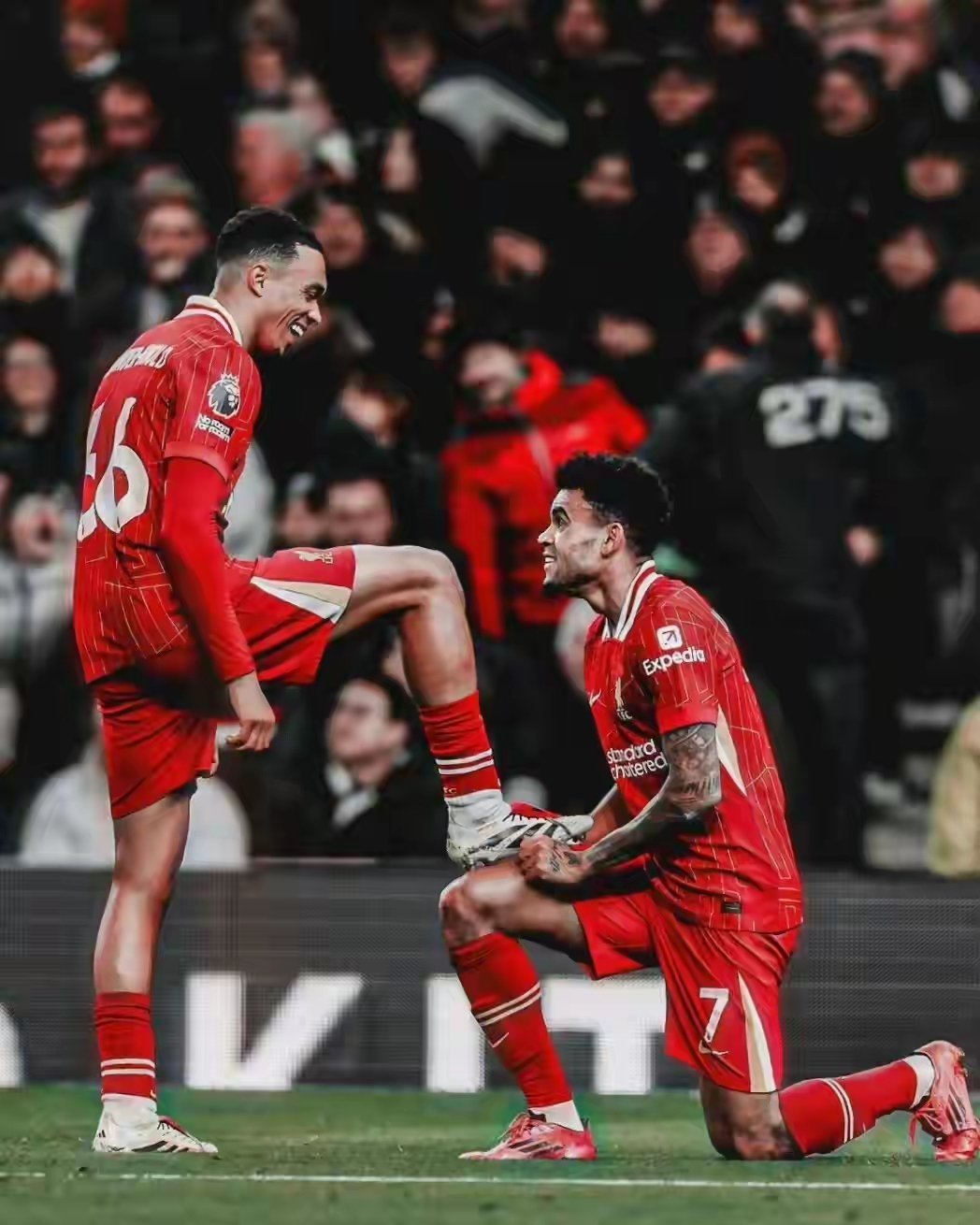 战术调整引发热议！，哈兰德在利物浦比赛中晋级下一阶段全场沸腾不已的简单介绍-九游体育